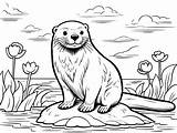 River Otter Coloring Page For Kids  Free Printable sketch template