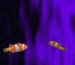 Animated Aquarium by whiterobin667 on DeviantArt