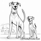 Greyhound Coloring Pages  Free & Printable sketch template