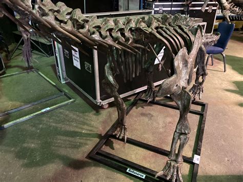 BELLUSAURUS FULL SKELETON ON STEEL FRAME, FOUND IN JUNGGAR BASIN OF CHINA FROM THE MIDDLE