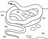 Garter Snakes Coloring Sketch Page sketch template
