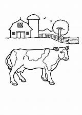 Farm Coloring Pages  Best For Kids sketch template