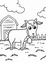 48 Desenhos Para colorir De Animais fazenda  PDF Impressão Grátis sketch template