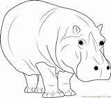 Hippopotamus Walking Coloring Page For Kids  Free sketch template