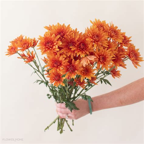 Orange Flowers | Bulk Fresh Flowers for DIY Brides – Flower Moxie