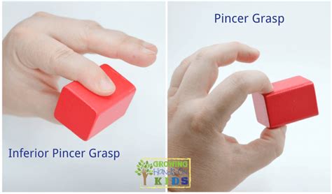 5 Fun Activities for Pincer Grasp Practice