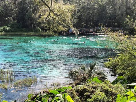 Rainbow Springs State Park - Amateur Camper