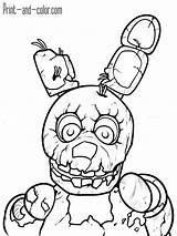 Bonnie Coloring Page Withered How To Draw Sketch sketch template