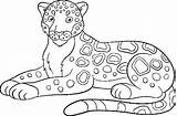 Jaguar Coloring Pages Downloadable Printable Sketch Page sketch template