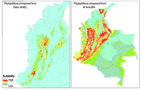 Current and potential distribution of Phytophthora cinnamomi from... | Download Scientific Diagram