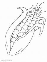 Sweet corn colouring Page For Kids  COLORING PAGES PRINTABLECOM sketch template