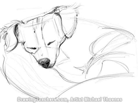 How to Draw a Dog Lying Down