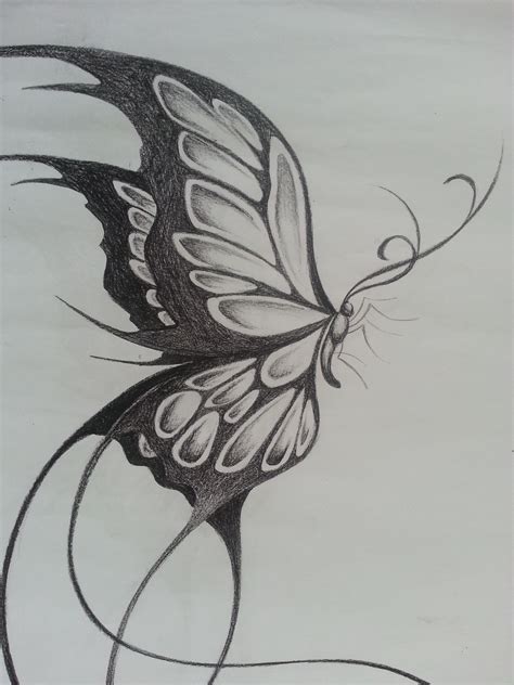 Ideas De Mariposas Dibujos A Lapiz En Mariposas Dibujos A | My XXX Hot Girl