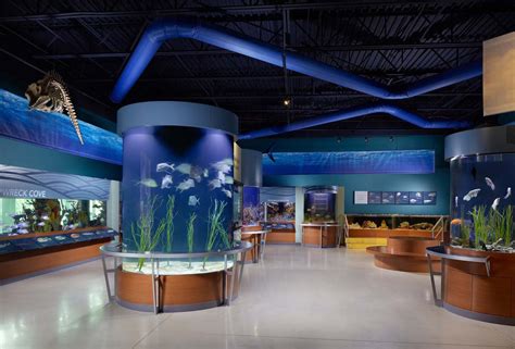 Cox Science Center And Aquarium - bocaratonobserver.com