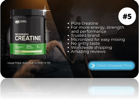 The Top 5 Best Creatine Supplements (2021) These Get Results | Observer