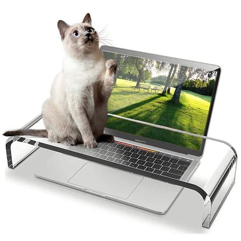 ZEAYIFA Clear Acrylic Monitor Stand,Keyboard Cover Protector Anti-Cat ...