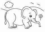 Baby Elephant Coloring Pages Lovely Cute Ba  sketch template
