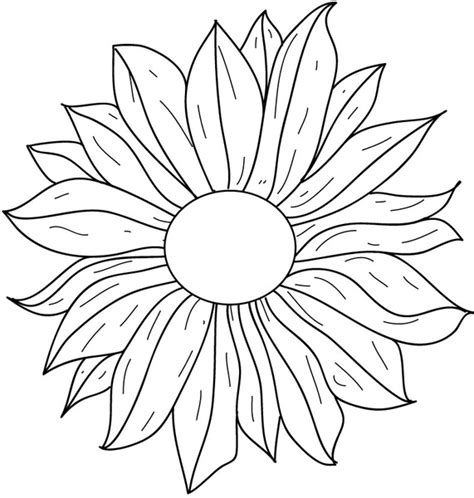 Flower line drawing Vectors graphic art designs in editable .ai .eps ...