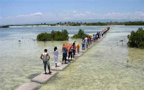 Tourists Haven