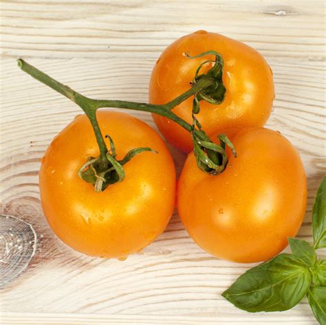 Tomato Chef choice orange - Serres Lavoie
