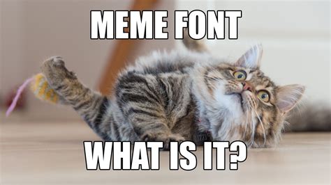 Name Of The Meme Font - PELAJARAN