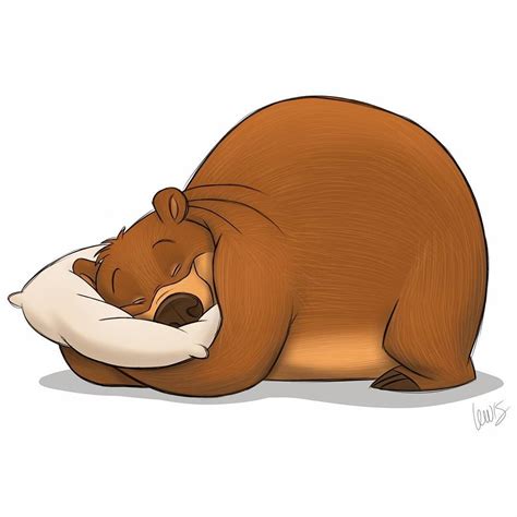 Bear Hibernation