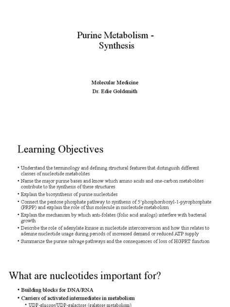 08 - Purine Metabolism 1 | PDF | Nucleotides | Biosynthesis