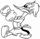60 Woody Woodpecker Coloring Pages  ColoringPagesOnlycom sketch template