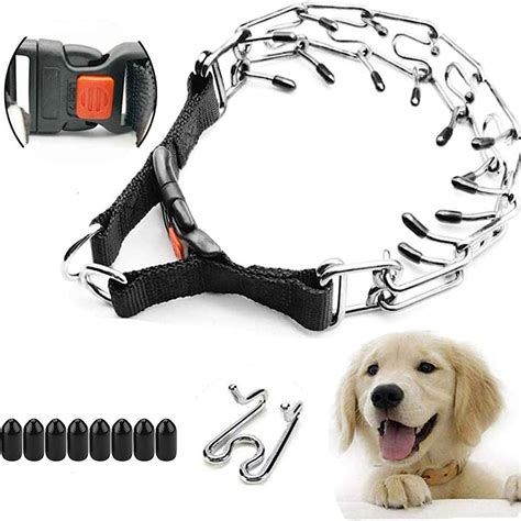 Use Of Prong Collars Dog Training | truongquoctesaigon.edu.vn