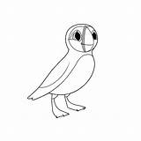 Baby Puffin Coloring Page  Coloring Home sketch template