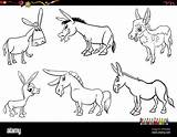 Black And White Cartoon Illustration Of donkeys Farm Animal Comic  sketch template