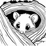 Curious opossum coloring Page Lulu Pages sketch template