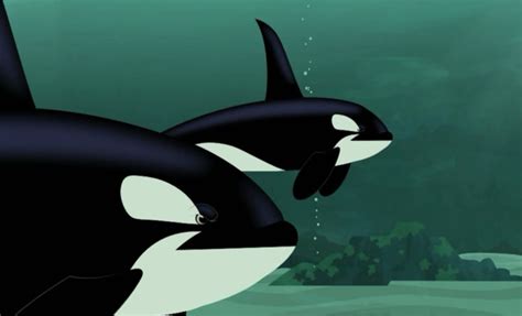 Image - Orca-Killer Whale.Wild Kratts.2.PNG | Wild Kratts Wiki | Fandom ...