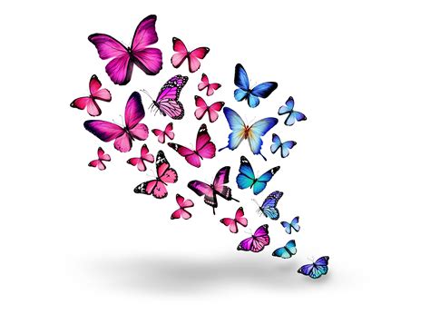 Download Artistic Butterfly 4k Ultra HD Wallpaper