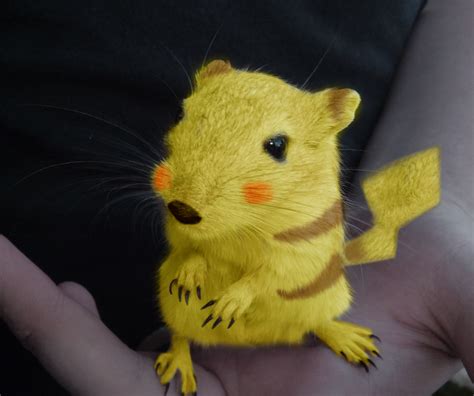 Real Life Pikachu by Puff-Dahh on DeviantArt