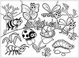 Bug coloring Pages – Artofit sketch template