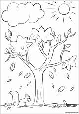 Autumn Tree Coloring Page  Free Printable Pages sketch template