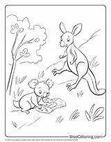100  Kangaroo coloring Pages Free PDF To Print Woo Coloring sketch template