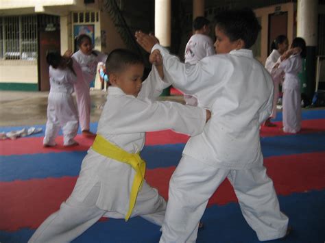 File:JJS Karate Kids on Training.jpg - Wikimedia Commons