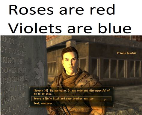 A Fallout New Vegas Poem : r/memes