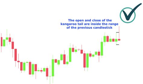 Learn to Trade Forex Kangaroo Tails in 10 Minutes [Bonus Template]