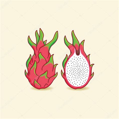 Dragon fruit illustration — Stock Vector © kuzzie #167134562