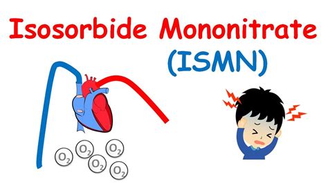 Isosorbide Mononitrate - Mechanism, precautions, side effects & uses ...