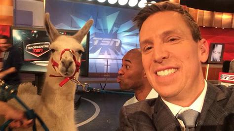 There are llamas on TSN's TradeCentre set | Sporting News