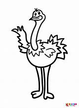 Ostrich Catwalk Coloring Page  Free Printable Pages sketch template