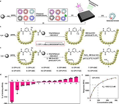 Chemical synthesis of cyclic peptide analogue of 1 and their affinity ...