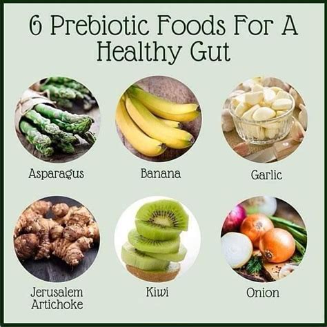 6 Prebiotic Foods For A #Healthy #Gut | Prebiotic foods, Nutrition food list, Healing food