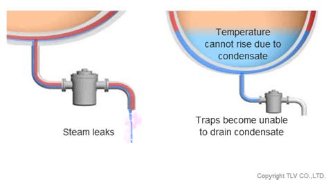 Introduction to Steam Trap Management | TLV