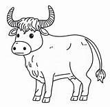 Ox Free Printable coloring Page  Download Print Or Color Online For sketch template