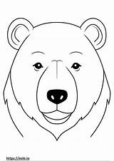 Bear face coloring Page sketch template